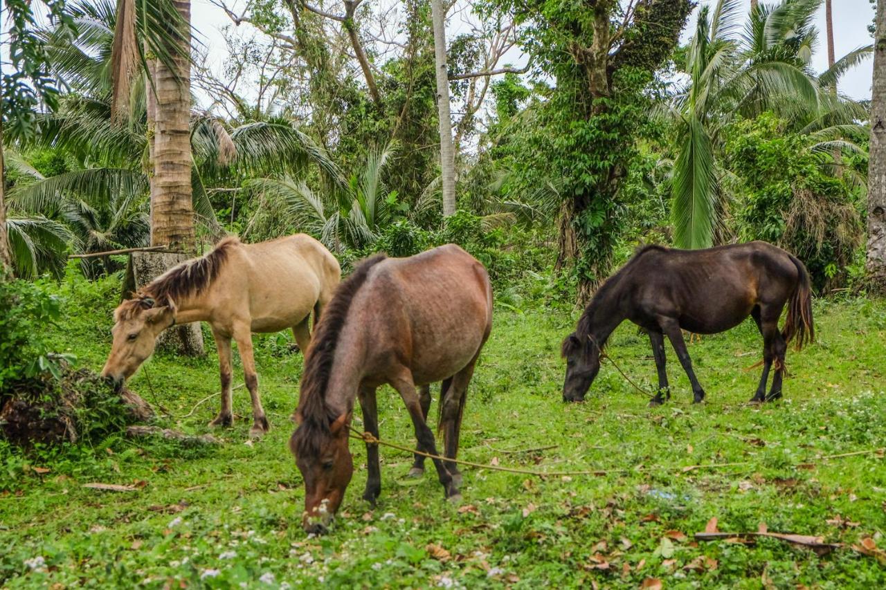Recidencia Del Hamor Sorsogon Exteriér fotografie