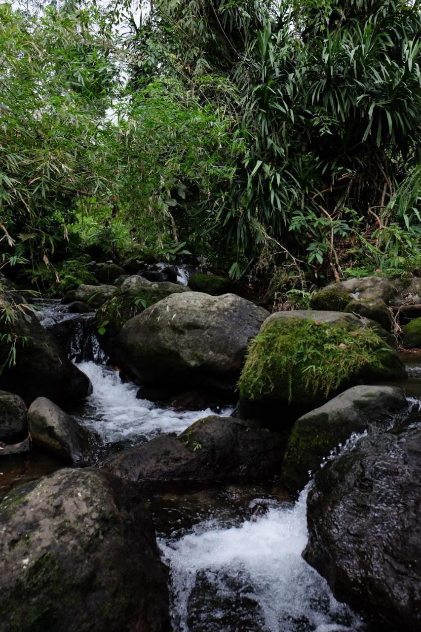 Recidencia Del Hamor Sorsogon Exteriér fotografie